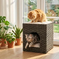 PawHut 2-Tier Wicker Cat House, Handwoven Rattan Cat Bed with Washable Cushions, Indoor Kitten Condo Hideaway(m-8)