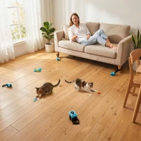 PawHut Interactive Cat Toy for Indoor Kittens & Adult with Adjustable Speed, DIY Track & Mouse Sound(m-8)