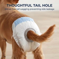 PawHut Disposable Dog Diapers Female Incontinence or Excitable Urination and Training 48 Count, XS, 15-33 cm(m-7)