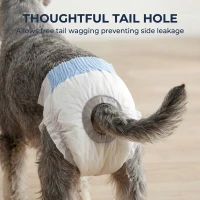 PawHut Disposable Dog Diapers Female for S Dogs Incontinence or Excitable Urination and Training 48 Count(m-7)