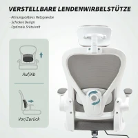 HOMCOM Bürostuhl Ergonomischer Schreibtischstuhl mit Hochklappbaren Armlehnen, Verstellbarer Lendenwirbelstütze Grau(m-5)