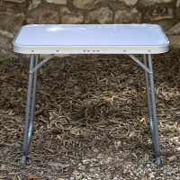 Mesa Plegable Aktive, Estructura Acero 16 Mm y Tablero MDF, 60x40x50 Cm, Malva(m-3)