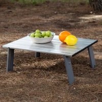 Mesa Plegable Ultraligera Aktive, 55x41x20 Cm, Plateado(m-3)