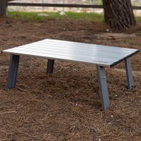 Mesa Plegable Ultraligera Aktive, 55x41x20 Cm, Plateado(m-7)