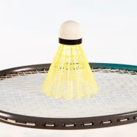 Set de Bádminton Portátil Aktive con Maletín Base y Accesorios, 69x16x30 Cm, Negro(m-5)
