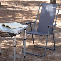 Silla Plegable de Camping con Topes Antivuelco, 53x5x81 Cm, Gris(m-3)