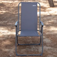 Silla Plegable de Camping con Topes Antivuelco, 53x5x81 Cm, Gris(m-8)