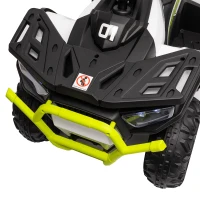 AIYAPLAY 12V Kids Electric Ride on ATV, Battery-Powered Quad Bike w/ Spring Suspension, Forward Backward, Storage Basket, Green(m-9)