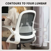 HOMCOM Breathable Mesh Office Chair, Ergonomic Swivel Computer Chair with Flip-up Armrests, Lumbar Back Support for Home/Office, Grey(m-4)