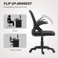 HOMCOM Breathable Mesh Office Chair, Ergonomic Swivel Computer Chair with Flip-up Armrests, Lumbar Back Support for Home/Office, Black(m-7)