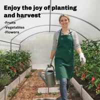 Outsunny Polytunnel Greenhouse Walk-in Grow House with UV-resistant PE Cover, Door, Galvanised Steel Frame, 4 x 3 x 2m, White(m-7)