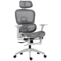 HOMCOM Multi-Adjustable Mesh Office Chair - Grey and White(m-11)