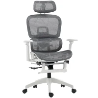 HOMCOM Multi-Adjustable Mesh Office Chair - Grey and White(m-10)