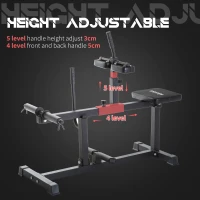 SPORTNOW Seated Leg Extension Machine, Adjustable Leg Raise Machine and Curl Machine with Plate Loaded for Hip, Lower Body and Home Gym Workout(m-4)