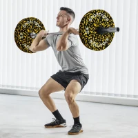 SPORTNOW Olympic Weight Plates with 5cm Holes, for Weight Lifting, 2 x 15KG(m-2)