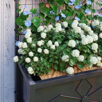 Outsunny Raised Bed for Garden with Trellis, Galvanised Planter Box with Diamond Pattern, Drainage Holes for Vegetables, Herbs and Flowers, 90 x 40 x 120 cm, Black(m-9)