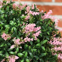 HOMCOM Set of 2 Artificial Plant Topiary Balls, UV-protected Fake Decorative Plants, Pink(m-9)