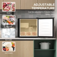 HOMCOM 35L Mini Freezer, -24℃ to -14℃ Temperature - Silver Tone(m-4)
