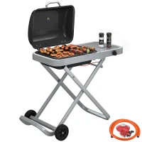 Outsunny Foldable Gas BBQ Grill with Side Table, Portable Gas Barbecue Grill with Thermometer, Grease Box, Wheels, 2.5 kW, Black(m-10)