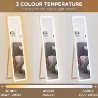 HOMCOM Full Length Mirror, with Adjustable Outer Light, Oak(m-6)