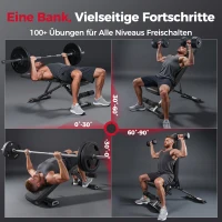 FLYBIRD Multifunktionale Hantelbank, verstellbare Profi-Trainingsbank mit 363 kg Traglast für Heimfitness, Schnellverstellung, platzsparend klappbar, ASTM-zertifiziert, 90% vormontiert(m-3)