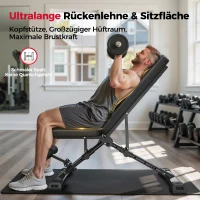 FLYBIRD Multifunktionale Hantelbank, verstellbare Profi-Trainingsbank mit 363 kg Traglast für Heimfitness, Schnellverstellung, platzsparend klappbar, ASTM-zertifiziert, 90% vormontiert(m-1)