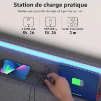HOMCOM Lit coffre 140x190cm éclairage LED et station de charge cadre de lit double rembourré lin rangement hydraulique gris(m-6)