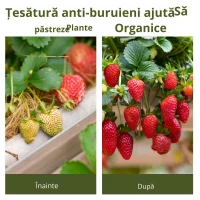Outsunny Foaie Neagra de Mulci 50x2m pentru Gradina, Sera, Gradina Drenaj(m-7)