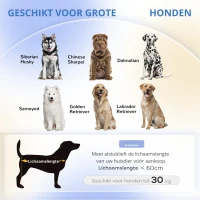 PawHut Hondensofa voor Grote Honden tot 30 kg, Gepolsterd, met Grenenhouten Poten, 98 x 67 x 25 cm, Grijs(m-4)
