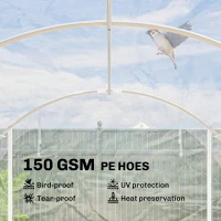 Outsunny Polytunnel-kas, begaanbare kas met verzinkt stalen frame en UV-bestendige PE-bekleding, transparant(m-6)