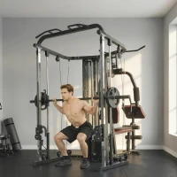 SPORTNOW Krachtstation fitnessstation met 65 kg gewichten, lat-trek, butterflystang, verstelbare preacherbank, beentrainer(m-10)