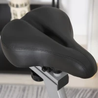 HOMCOM Exercise Bike with Adjustable Resistance 5-Position Seat Heavy-Duty for Indoor Gym Office Black(m-9)