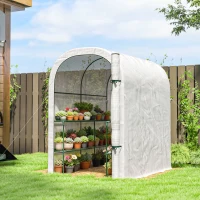 Outsunny Walk-in Greenhouse with Shelves, Small Greenhouse with PE Cover and Roll-up Door, 123 x 187 x 189 cm, White(m-2)