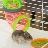 PawHut Klatka dla chomików, 5-poziomowa klatka dla gryzoni i małych zwierząt, wykonana z drutu stalowego, z kołem do biegania, rampą, butelką na wodę, miską na pokarm, klatka dla myszy, chomików i myszoskoczków, wymiary 59 x 36 x 69 cm, jasnoniebiesk(m-9)