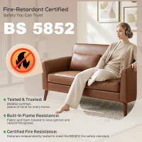 HOMCOM 2 Seater Sofa, 132 cm Modern Small Sofa with Solid Wood Legs and 2 Pillows for Small Space, Brown(m-8)