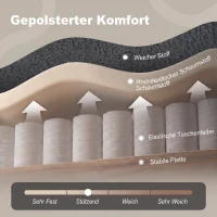 HOMCOM Futon slaapbank, verstelbare rugleuning, 2-zits met 2 kussens, donkergrijs(m-6)