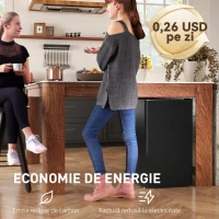 HOMCOM Mini Frigider 91L MonoPortă Reversibil cu Congelator și Temperatură Reglabilă, Negru(m-9)