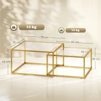 HOMCOM 2 mese de cafea pătrate mese nido moderne cu blat din sticlă securizată și structură metalică 75x75x42 cm Auriu(m-3)