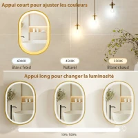 HOMCOM Armoire murale salle de bain avec miroir et éclairage LED, porte ovale, anti-buée, 50x14,5x70cm, doré(m-5)