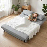 HOMCOM Divano Letto 2 Posti 3 in 1 in Tessuto Effetto Lino con 2 Cuscini, Struttura in Eucalipto, Grigio Chiaro(m-8)