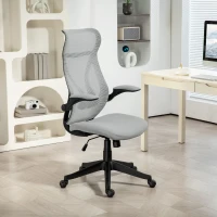 HOMCOM Cadeira de Escritório Giratória com Altura Ajustável Apoio para os Braços Dobráveis e Função Basculante 66x66x113-121 cm Cinza(m-10)
