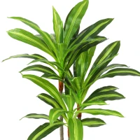 HOMCOM 90cm Lifelike Fake Tree, Artificial Dracaena Tree with Bendable Trunks, Green(m-11)