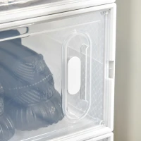 HOMCOM Scarpiera Modulare in PP con 8 Cubi Contenitori e Porta Magnetica, 25x35x19 cm, Bianco e Trasparente(m-5)