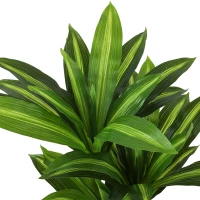 HOMCOM 90cm Lifelike Fake Tree, Artificial Dracaena Tree with Bendable Trunks, Green(m-10)