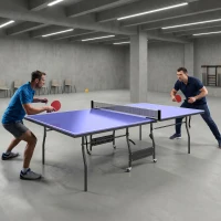 SPORTNOW Tischtennisplatte klappbar Standard Tischtennistisch inklusive Tischtennisnetz 3 Bälle 12mm Tischplatte(m-2)