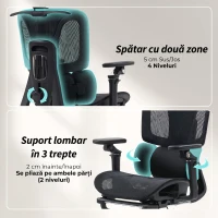 HOMCOM Scaun de Birou Ergonomic din Plasă cu Cotiere, Tetieră, Spătar Reglabil, Funcție Legănare, Negru(m-5)