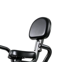 SPORTNOW 3-In-1 Folding Exercise Bike with Resistance Bands, Bluetooth App, 8-Level Magnetic Resistance, LCD Display, Red(m-11)