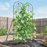 Outsunny Support pour Plantes Grimpantes avec Oiseaux Lot de 2 Treillis de Jardin pour Légume Vigne Fleur Métal 50 x 220 cm Noir(m-9)