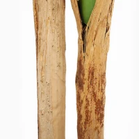 HOMCOM Lot de 2 plantes artificielles intérieurs 150 cm bananiers en pot décoration pour maison, bureau, salon, chambre(m-12)