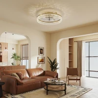 HOMCOM Ceiling Fan with Lights, Dimmable LED Mount Ceiling Fan Light with Remote App Control for Bedroom, Gold Tone(m-8)